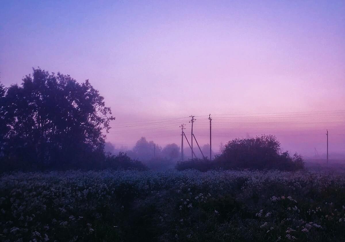 华体会入口：开启你的体育世界之门